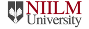 NIILM University
